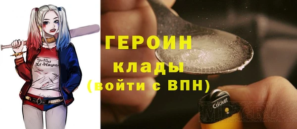 дмт Дмитров