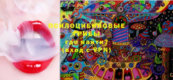 спиды Гусь-Хрустальный
