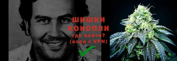 мдма Дмитриев